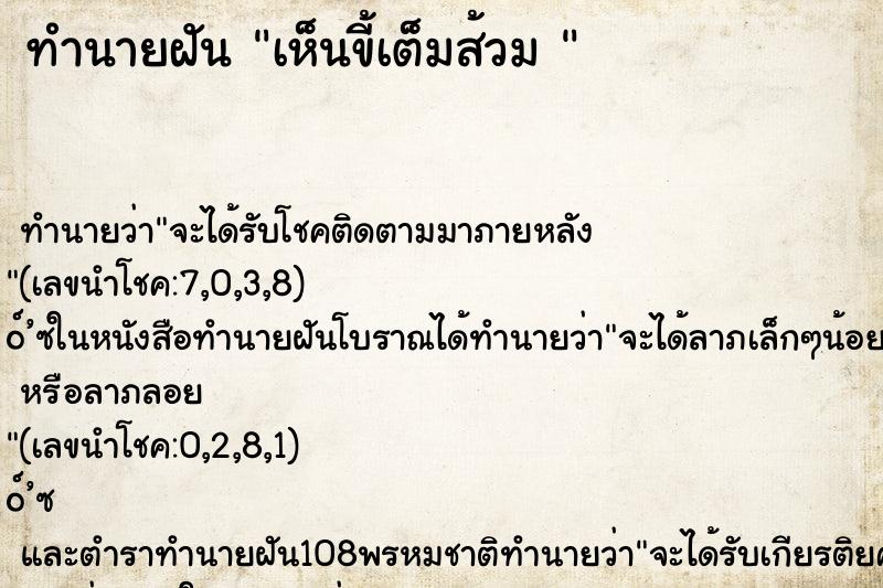 ทำนายฝัน เห็นขี้เต็มส้วม 